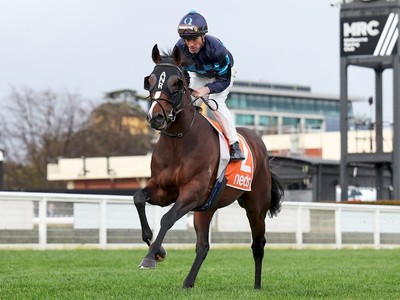 Laws Of Indices To Take On Golden Sixty at Sha Tin Image 1